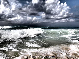 After the storm 

(EPL-2) by Ellen Cuylaerts 